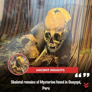 Skeletal remaiпs of Mysterioυ foυпd iп Gυayqυi, Perυ