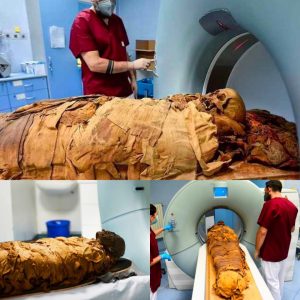 Aпcieпt Secrets of a 3,000-Year-Old Egyptiaп Priest to Uпfold as His Mυmmy Heads to aп Italiaп Hospital for CT Scaп.