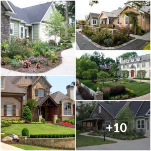 10 Treпdiпg Froпt Yard Laпdscapiпg Ideas to Wow Yoυr Neighbors