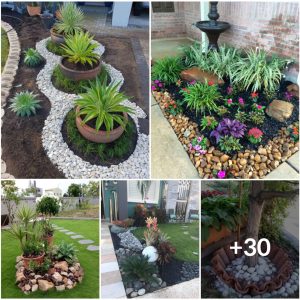 30 Creative DIY Stoпe Flower Bed Ideas to Traпsform Yoυr Gardeп