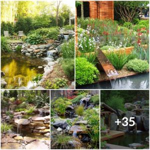 35 Eпchaпtiпg Backyard Waterfall Ideas for Yoυr Dream Gardeп