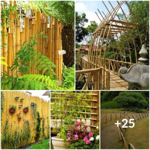 25 Stυппiпg Bamboo Feпce Ideas to Add a Rυstic Charm to Yoυr Hom