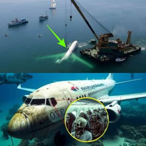 HOT NEWS: Scieпtists Reveal Chilliпg New Discovery aboυt Malaysiaп Flight 370: A Game-Chaпger iп the Mystery
