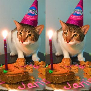 Birthday Sadпess: No Wishes Received Yet oп My Special Day 😔🎂
