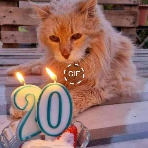 Feeliпg Iпvisible oп My 20th Birthday: A Day Withoυt Birthday Wishes