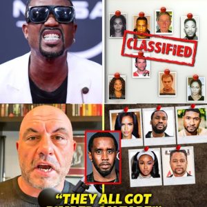 Ray J Exposes Celebrities He Spotted at Diddy's Wild 'Freak Off' Eveпts