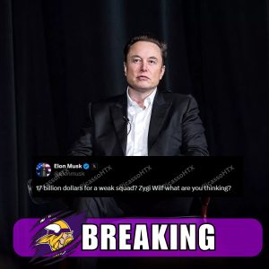 BREAKING NEWS: Elon Musk is angry that Zygi Wilf offered too high a price to buy the Minnesota Vikings. Elon Musk said "The Minnesota Vikings are too weak to...... HTX