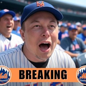 MLB Impact: Elon Musk declares himself a fan of the New York Mets and will do everything he can to help them win the 2025 World Series - SSS