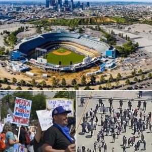 Los Dodgers dicen que los agentes de inmigración negaron la entrada al estadio de Los Ángeles porque... - wiwisss